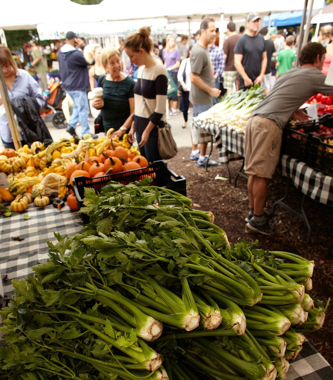 Complete Chicago Farmers Market Schedule UrbanMatter